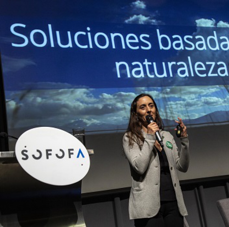 Con foco en el sector forestal se realiza el segundo conversatorio en el marco de la COP25