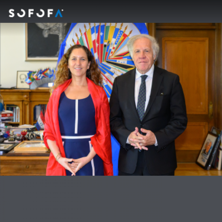 Presidenta de SOFOFA realiza gira pro-seguridad y se reúne con Secretario General de la OEA y la Vicepresidenta BID