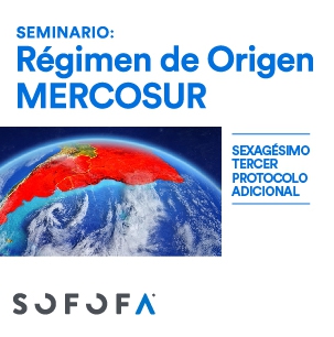 Seminario: Régimen de Origen MERCOSUR Sexagésimo Tercer Protocolo Adicional